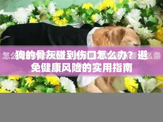狗的骨灰碰到伤口怎么办？避免健康风险的实用指南