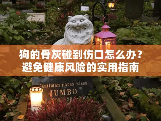 狗的骨灰碰到伤口怎么办？避免健康风险的实用指南