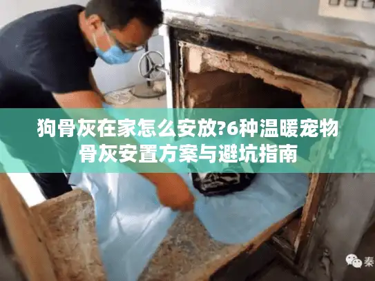 狗骨灰在家怎么安放?6种温暖宠物骨灰安置方案与避坑指南