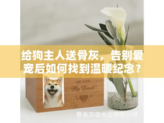 给狗主人送骨灰，告别爱宠后如何找到温暖纪念？