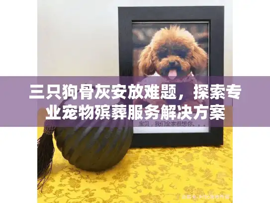 三只狗骨灰安放难题，探索专业宠物殡葬服务解决方案