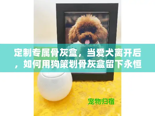 定制专属骨灰盒，当爱犬离开后，如何用狗策划骨灰盒留下永恒的纪念