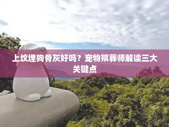 上坟埋狗骨灰好吗？宠物殡葬师解读三大关键点