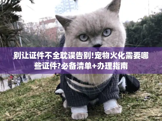 别让证件不全耽误告别!宠物火化需要哪些证件?必备清单+办理指南