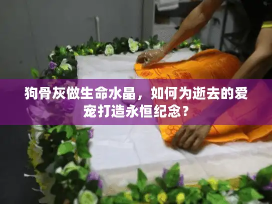 狗骨灰做生命水晶，如何为逝去的爱宠打造永恒纪念？