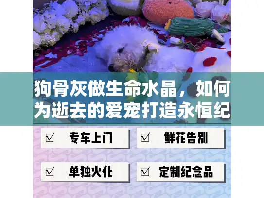 狗骨灰做生命水晶，如何为逝去的爱宠打造永恒纪念？