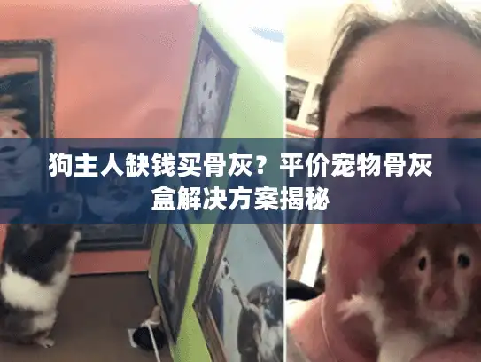 狗主人缺钱买骨灰？平价宠物骨灰盒解决方案揭秘