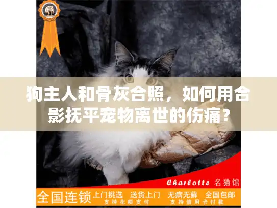 狗主人和骨灰合照，如何用合影抚平宠物离世的伤痛？