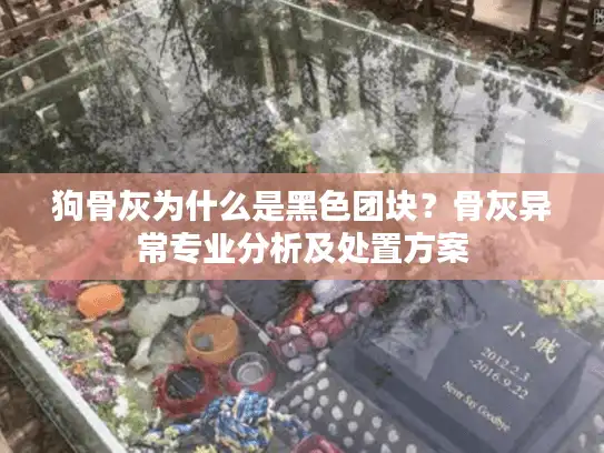 狗骨灰为什么是黑色团块？骨灰异常专业分析及处置方案
