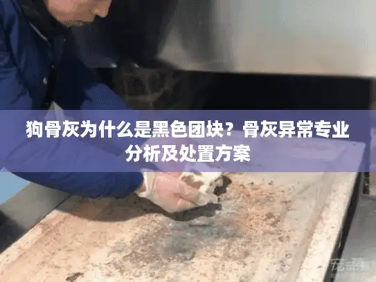 狗骨灰为什么是黑色团块？骨灰异常专业分析及处置方案