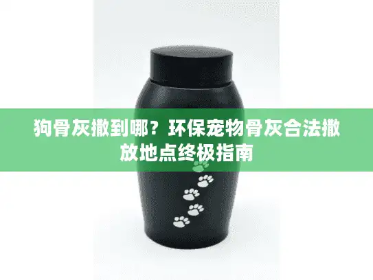 狗骨灰撒到哪？环保宠物骨灰合法撒放地点终极指南