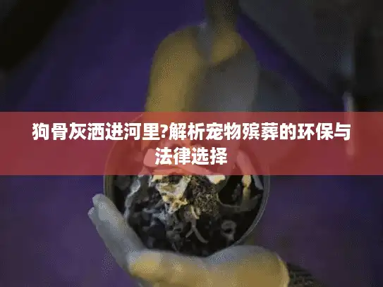 狗骨灰洒进河里?解析宠物殡葬的环保与法律选择