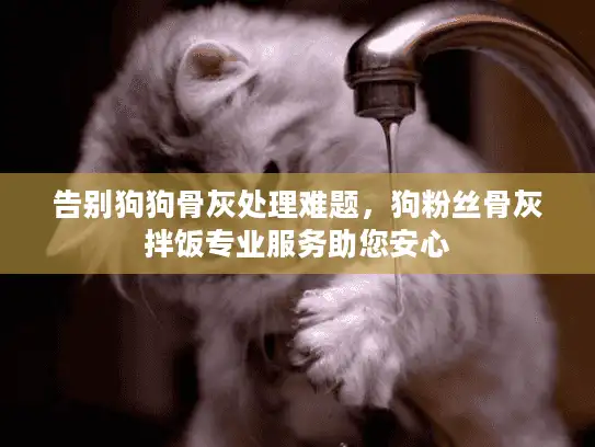 告别狗狗骨灰处理难题，狗粉丝骨灰拌饭专业服务助您安心