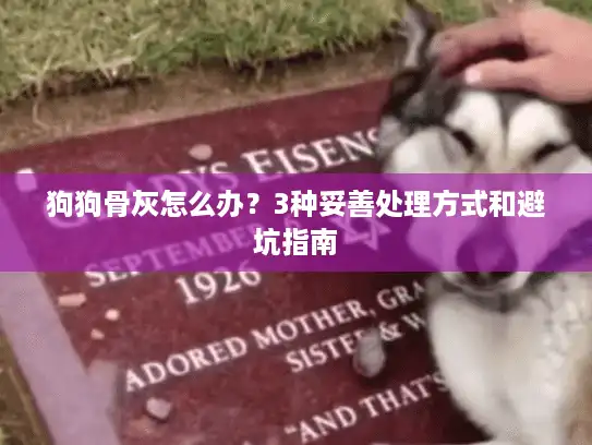 狗狗骨灰怎么办？3种妥善处理方式和避坑指南