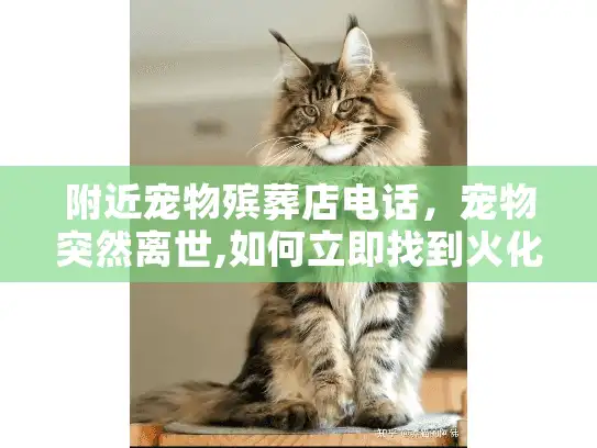 附近宠物殡葬店电话，宠物突然离世,如何立即找到火化服务热线?