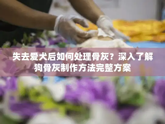 失去爱犬后如何处理骨灰？深入了解狗骨灰制作方法完整方案