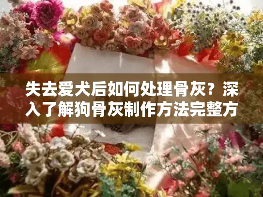 失去爱犬后如何处理骨灰？深入了解狗骨灰制作方法完整方案