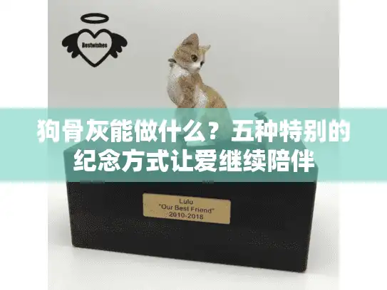 狗骨灰能做什么？五种特别的纪念方式让爱继续陪伴
