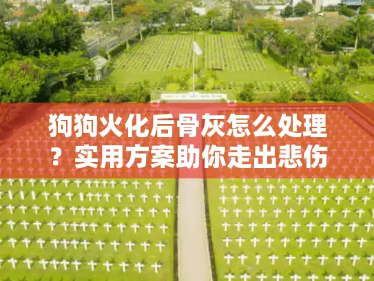 狗狗火化后骨灰怎么处理？实用方案助你走出悲伤