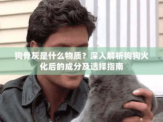 狗骨灰是什么物质？深入解析狗狗火化后的成分及选择指南