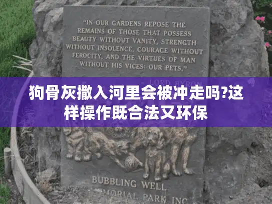 狗骨灰撒入河里会被冲走吗?这样操作既合法又环保
