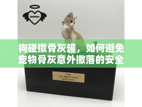 狗碰撒骨灰罐，如何避免宠物骨灰意外撒落的安全存放指南