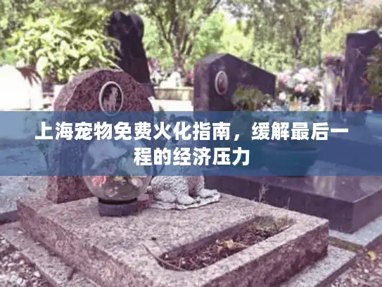 上海宠物免费火化指南，缓解最后一程的经济压力