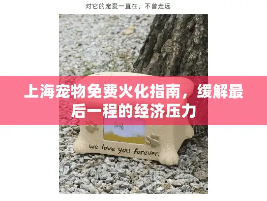 上海宠物免费火化指南，缓解最后一程的经济压力