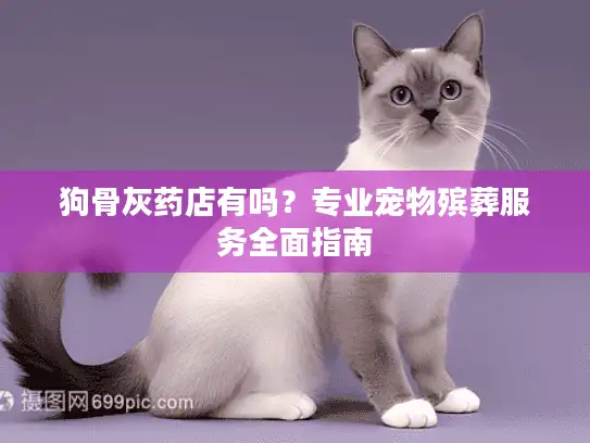 狗骨灰药店有吗？专业宠物殡葬服务全面指南