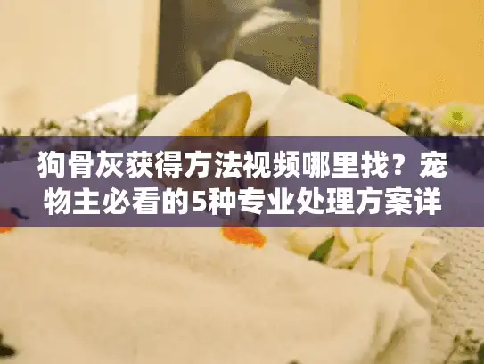 狗骨灰获得方法视频哪里找？宠物主必看的5种专业处理方案详解