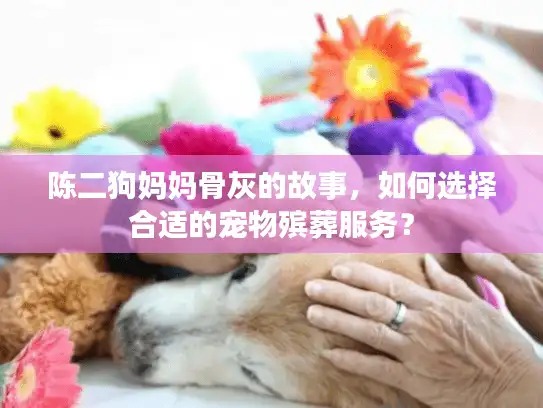 陈二狗妈妈骨灰的故事，如何选择合适的宠物殡葬服务？