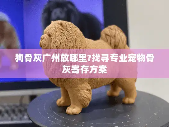 狗骨灰广州放哪里?找寻专业宠物骨灰寄存方案