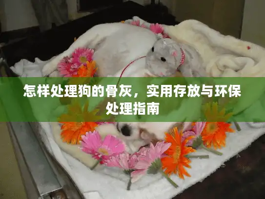 怎样处理狗的骨灰，实用存放与环保处理指南