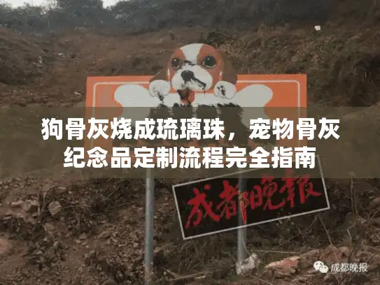 狗骨灰烧成琉璃珠，宠物骨灰纪念品定制流程完全指南