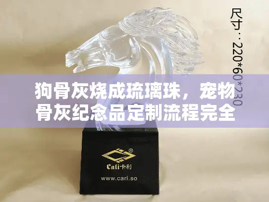 狗骨灰烧成琉璃珠，宠物骨灰纪念品定制流程完全指南