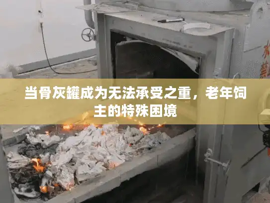 当骨灰罐成为无法承受之重，老年饲主的特殊困境