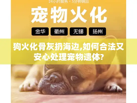 狗火化骨灰扔海边,如何合法又安心处理宠物遗体?