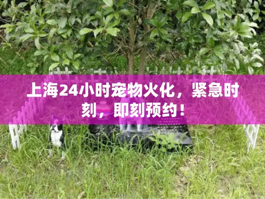 上海24小时宠物火化，紧急时刻，即刻预约！