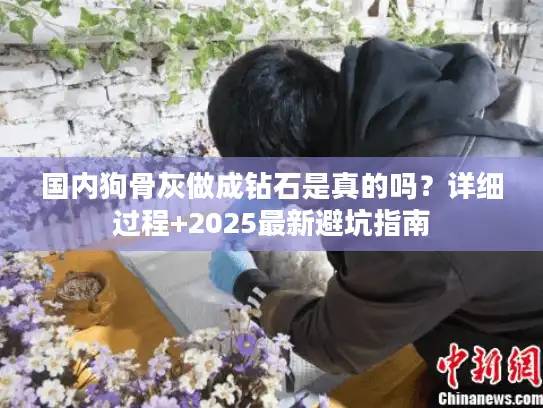 国内狗骨灰做成钻石是真的吗？详细过程+2025最新避坑指南