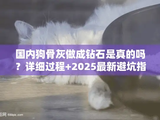 国内狗骨灰做成钻石是真的吗？详细过程+2025最新避坑指南