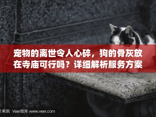宠物的离世令人心碎，狗的骨灰放在寺庙可行吗？详细解析服务方案