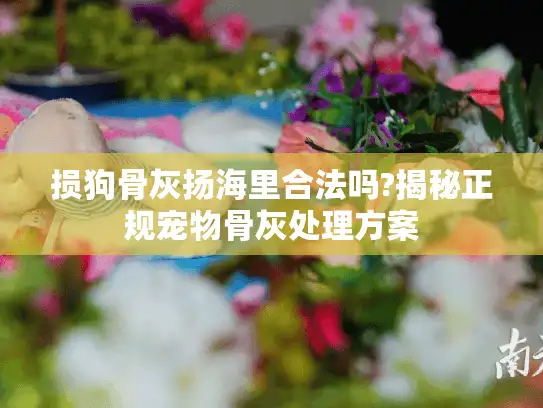 损狗骨灰扬海里合法吗?揭秘正规宠物骨灰处理方案