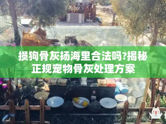 损狗骨灰扬海里合法吗?揭秘正规宠物骨灰处理方案