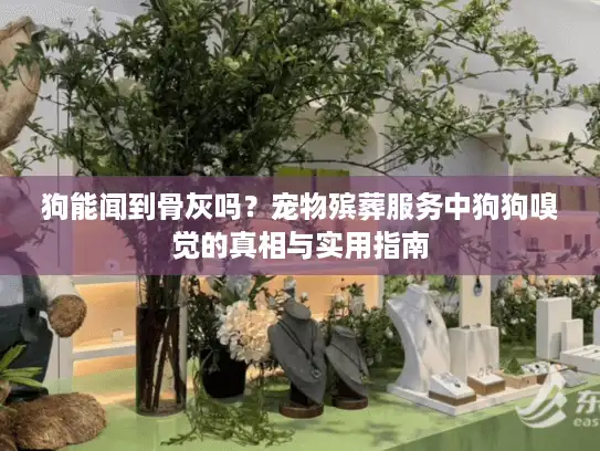 狗能闻到骨灰吗？宠物殡葬服务中狗狗嗅觉的真相与实用指南