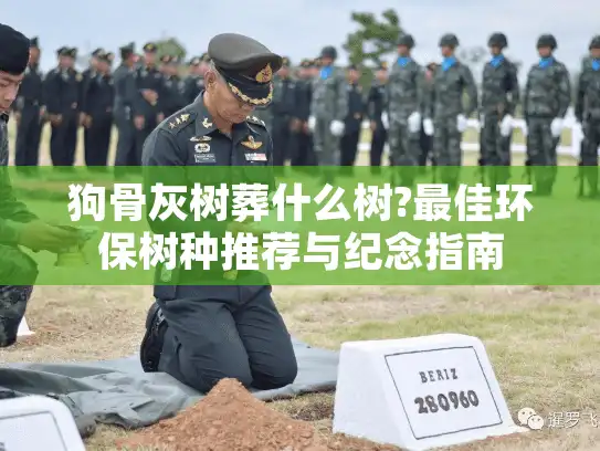 狗骨灰树葬什么树?最佳环保树种推荐与纪念指南