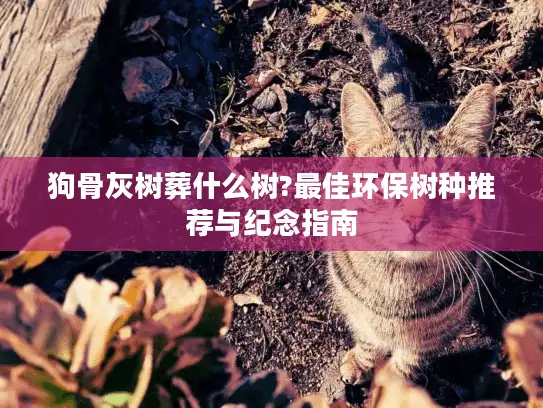 狗骨灰树葬什么树?最佳环保树种推荐与纪念指南