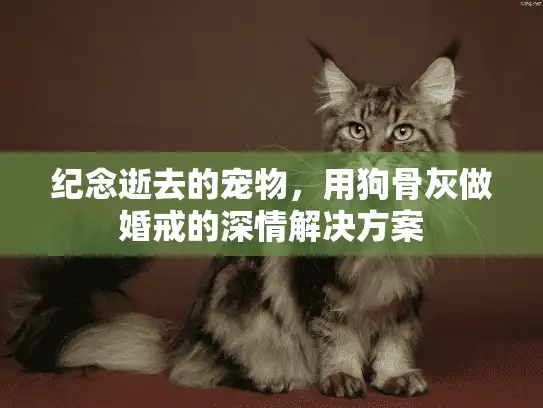 纪念逝去的宠物，用狗骨灰做婚戒的深情解决方案