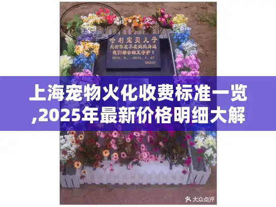 上海宠物火化收费标准一览,2025年最新价格明细大解析