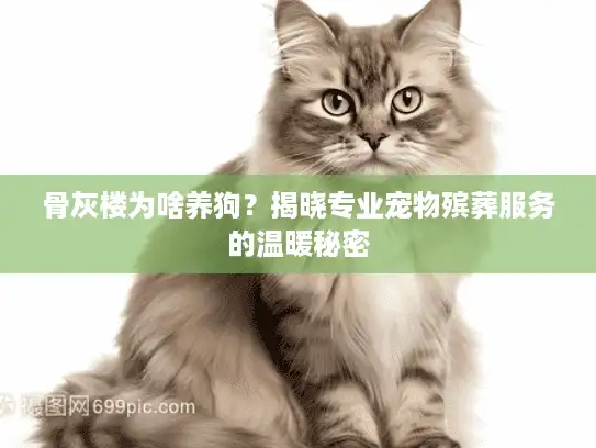 骨灰楼为啥养狗？揭晓专业宠物殡葬服务的温暖秘密
