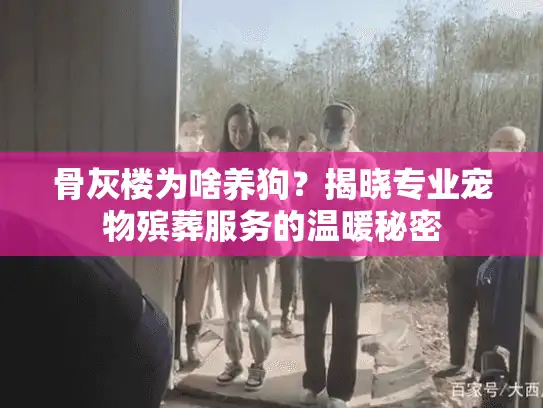 骨灰楼为啥养狗？揭晓专业宠物殡葬服务的温暖秘密